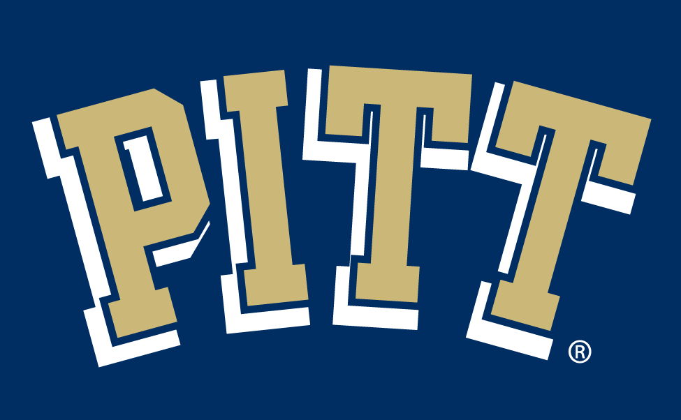 Pittsburgh Panthers 1997-2015 Wordmark Logo diy iron on heat transfer